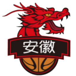 安徽皖江龙